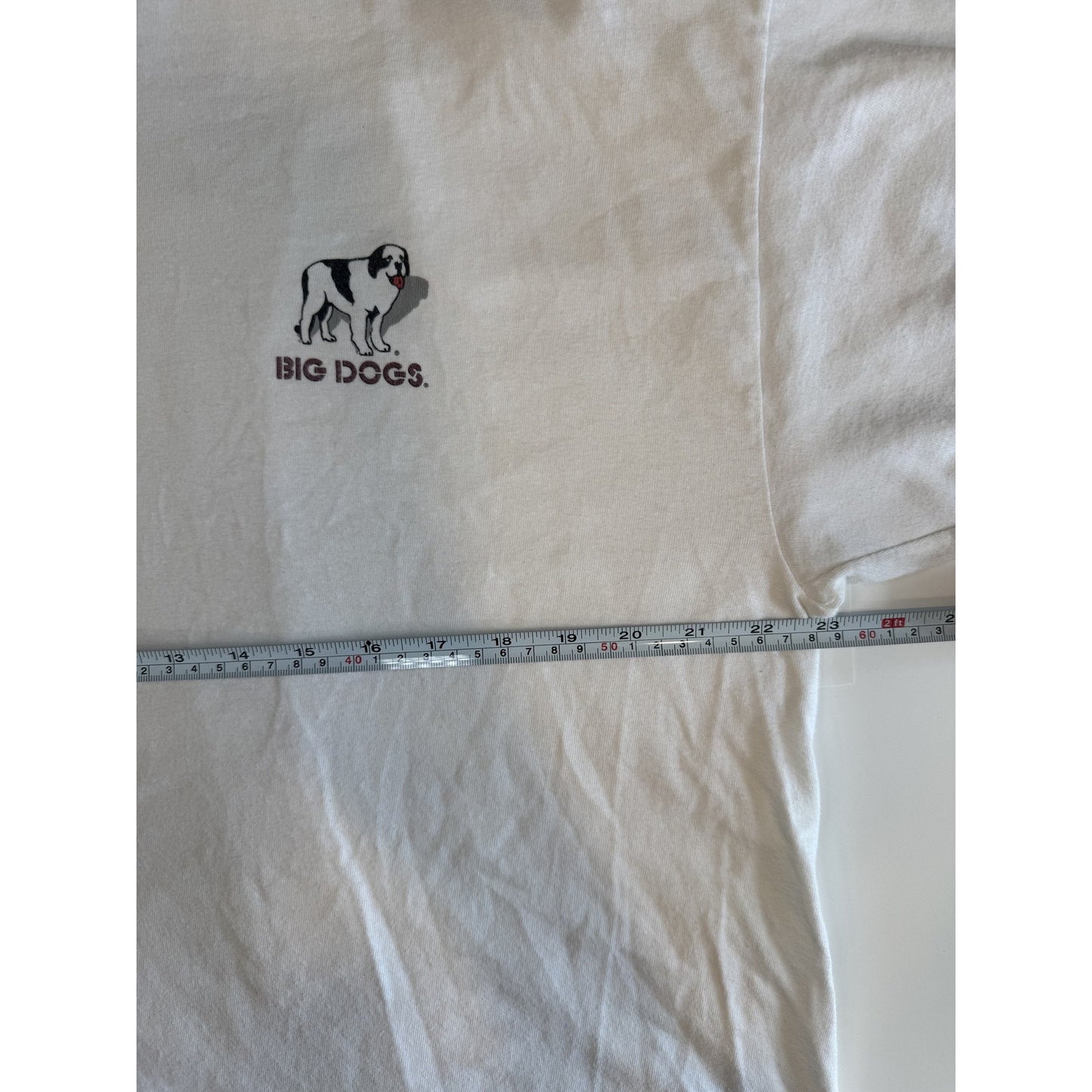 Vintage Big Dogs Shirt Mens XL "I Don't Do Mornings Funny Dog Tee"