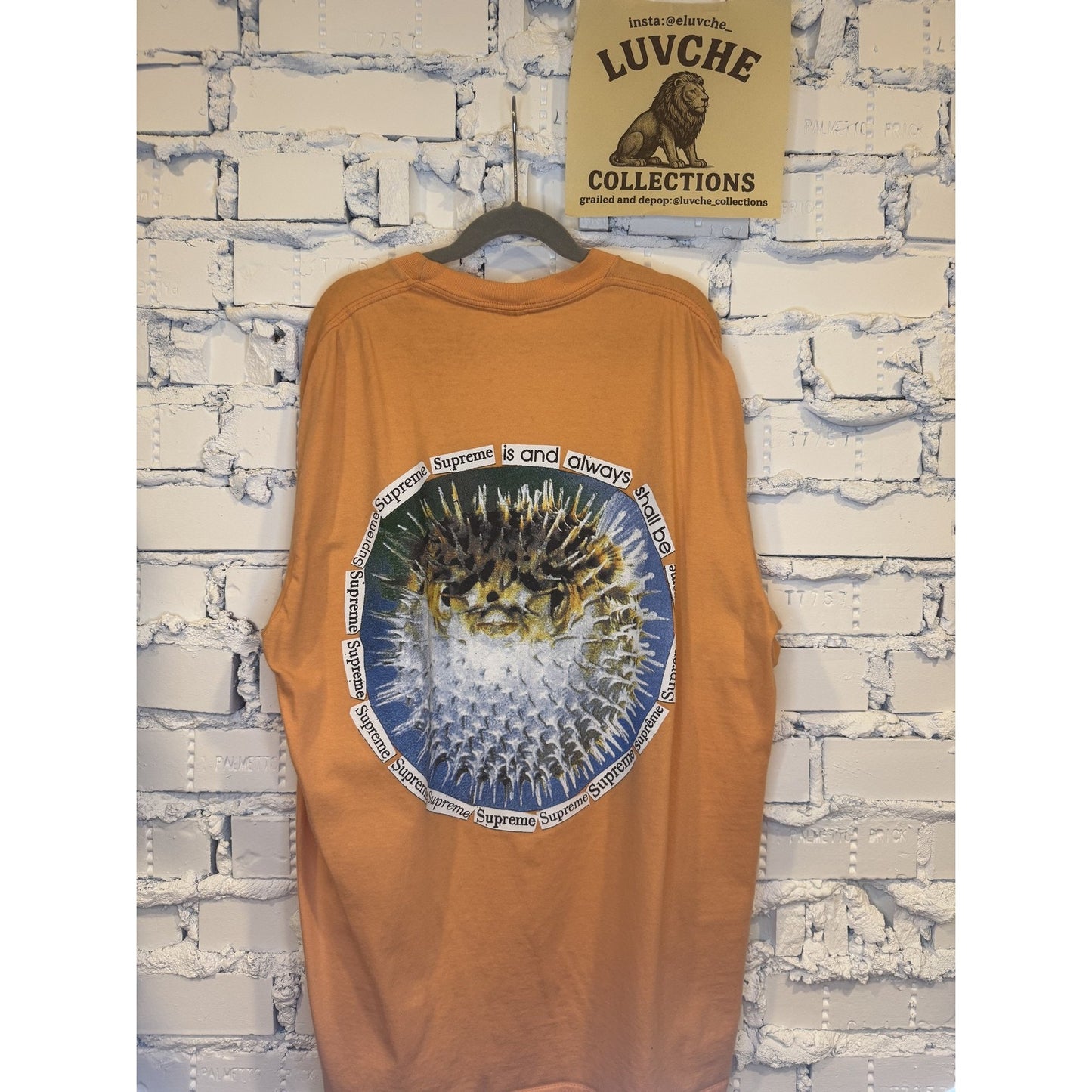 Supreme Puffer Fish Graphic Streetwear USA Box Tee