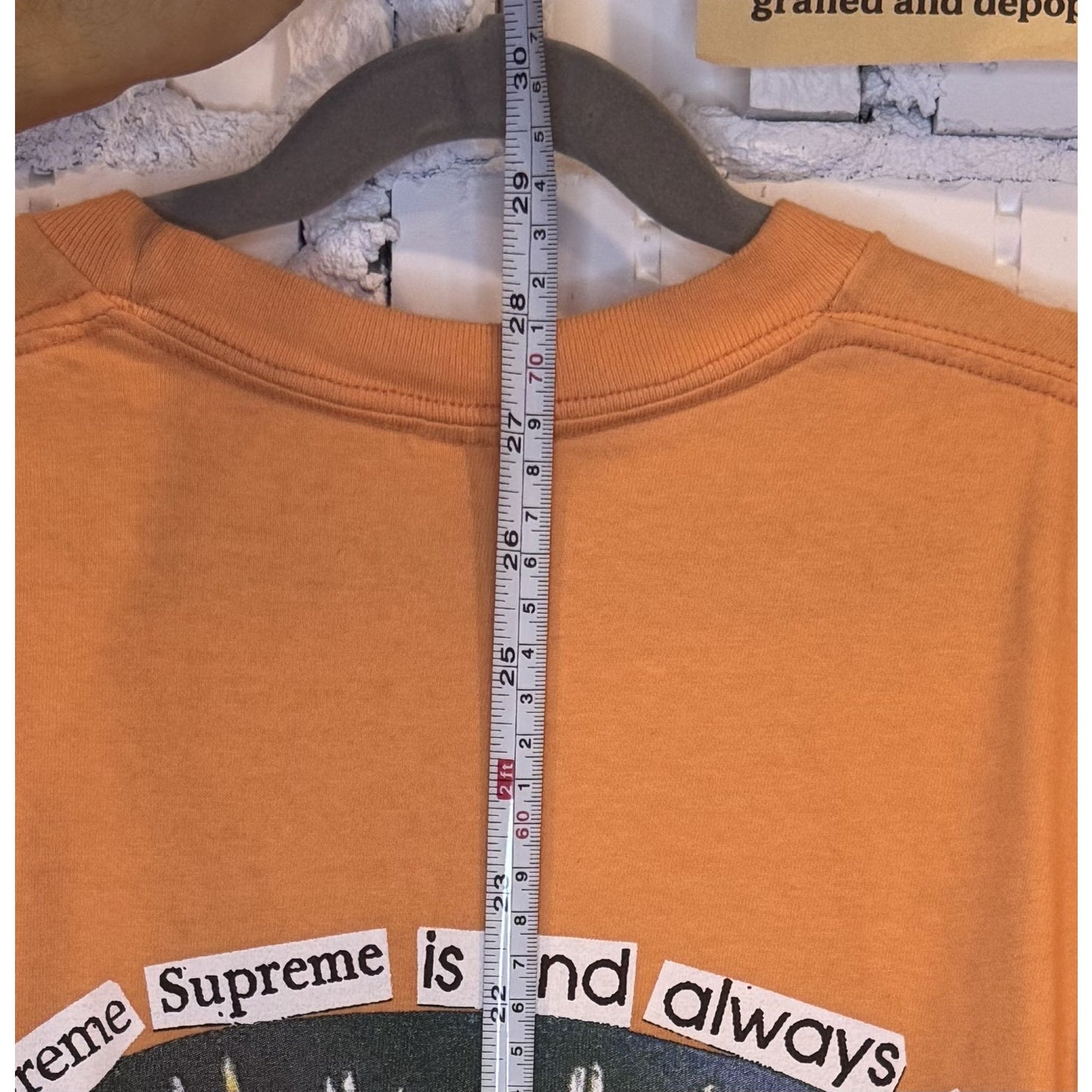 Supreme Puffer Fish Graphic Streetwear USA Box Tee