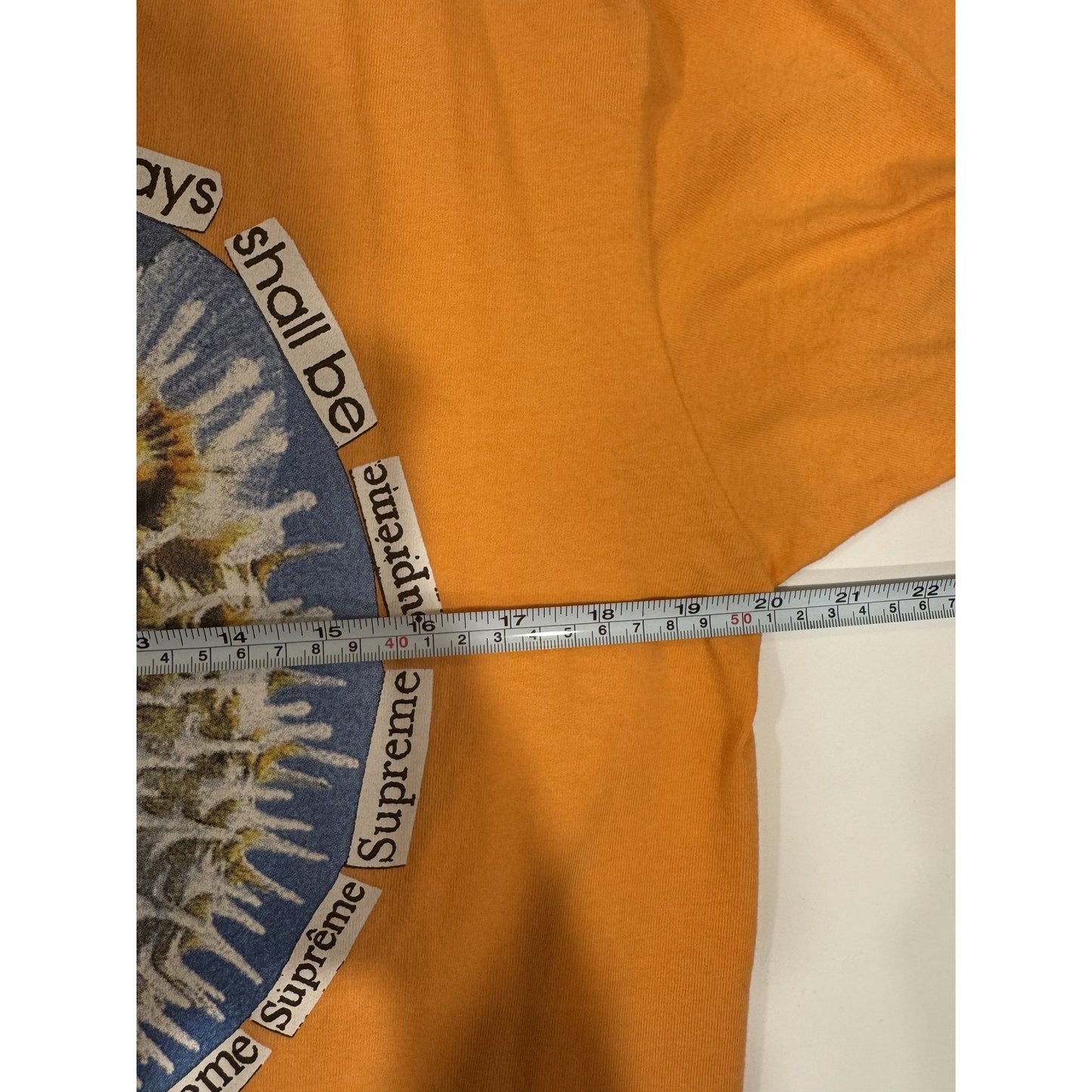 Supreme Puffer Fish Graphic Streetwear USA Box Tee